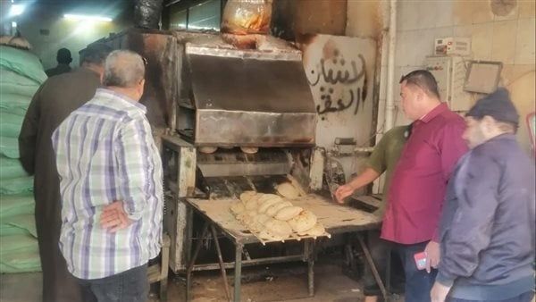 ضبط وتحرير 79 محضرًا ومخالفة تموينية في الإسماعيلية (صور)
