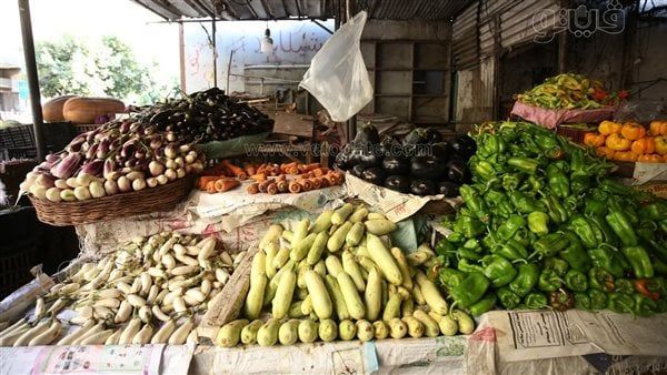 أسعار الخضراوات اليوم الخميس 30-11-2023 في الدقهلية