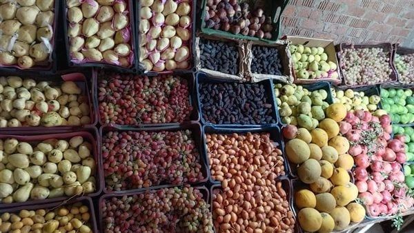 أسعار الفاكهة اليوم الخميس 30-11-2023 بقنا