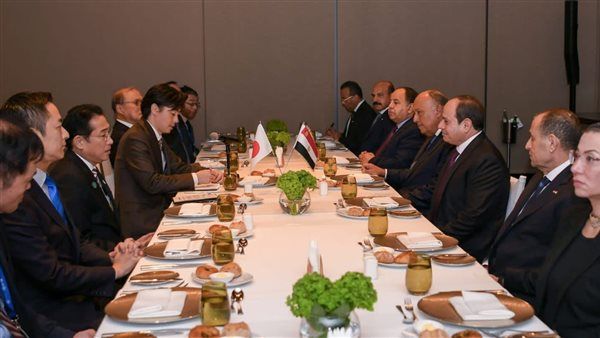 مصر واليابان ترفضان التهجير القسري للفلسطينيين