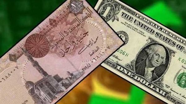 عمرو أديب يكشف عن انخفاض كبير في سعر الدولار بالسوق السوداء ويحذر من الدولرة