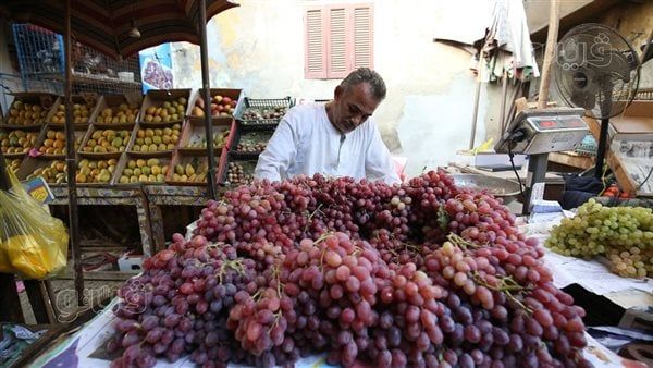 أسعار الفاكهة اليوم الجمعة 1-12-2023 بقنا