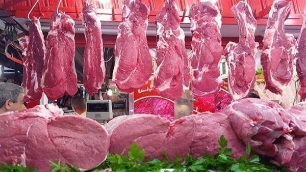 أسعار اللحوم اليوم السبت 2-12-2023 في الدقهلية