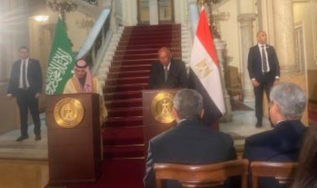 وزير الخارجية يؤكد ضرورة الوقف الفورى لإطلاق النار فى غزة
