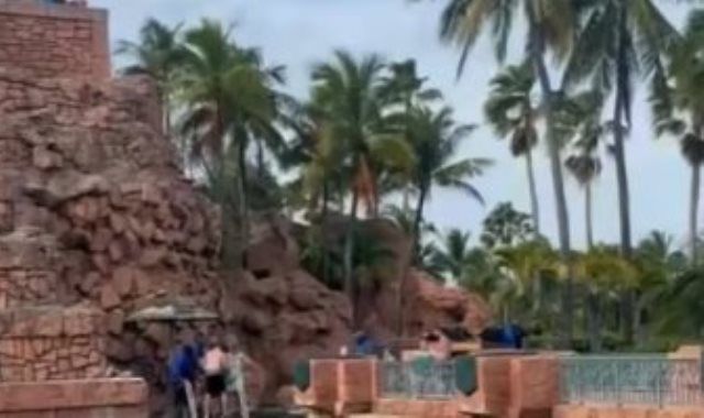 طفل ينجو من هجوم قرش فى تجربة للسباحة مع الأسماك المفترسة بجزر البهاما