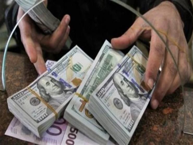 الجندي ترد على مقترح إجبار العاملين بالخارج على دفع نسبة من الدخل بالعملات الأجنبية