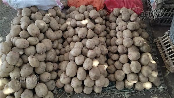 أسعار الخضراوات اليوم، انخفاض سعر الطماطم والبطاطس في سوق العبور