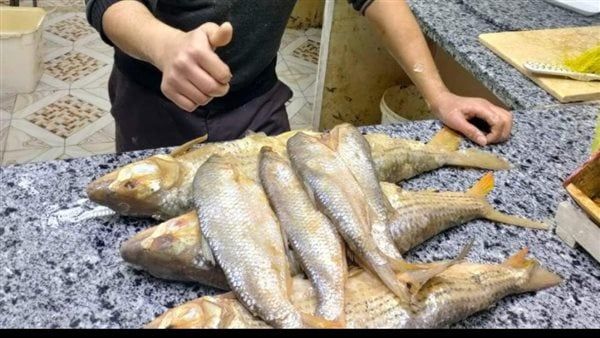 رغم ارتفاع أسعارها، تجمهر وزحام كبير على محال بيع الفسيخ والرنجة ليلة العيد بأسيوط (فيديو)