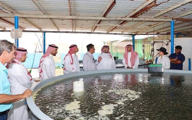 الصندوق الزراعي يبحث مع "نيوم للغذاء" التعاون بالاستزراع السمكي والبيوت المحمية