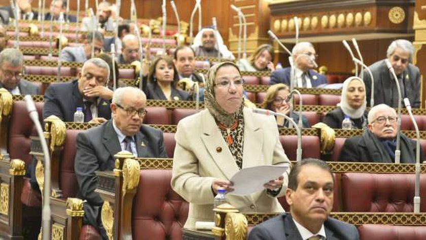 حياة خطاب: مشروع قانون الإجراءات الجنائية خطوة مهمة لتعزيز حقوق الإنسان