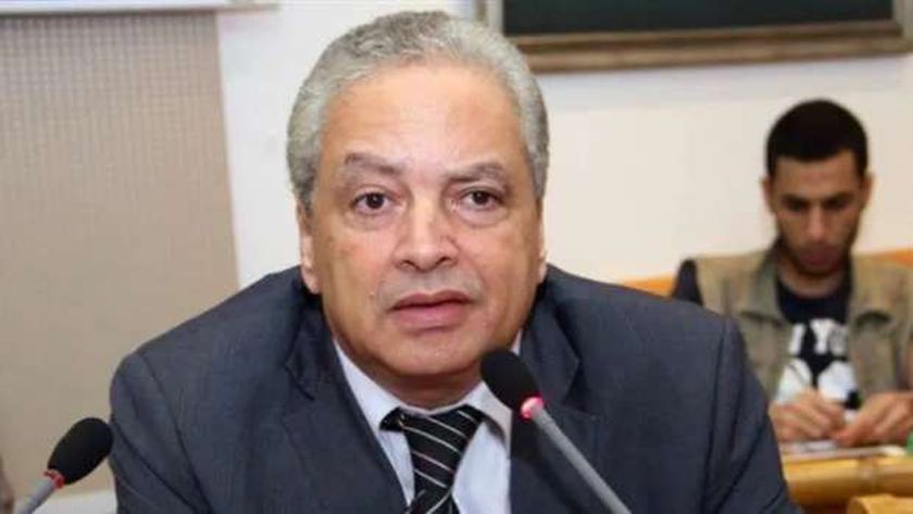 أستاذ علوم سياسية: حياة كريمة مشروع القرن والأكبر لتطوير حياة المصريين