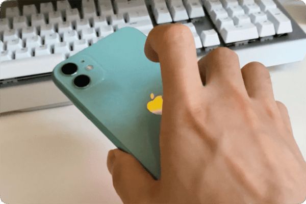 e560fe6645.jpg