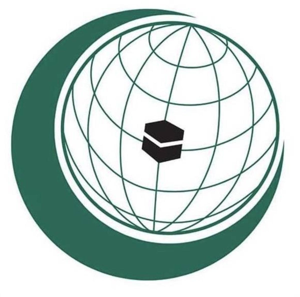 وزراء خارجية دول منظمة التعاون الإسلامي يشددون على أهمية تعزيز أواصر التضامن بين أبناء الأمة الإسلامية