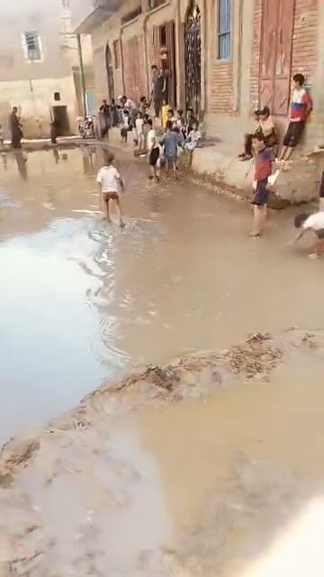 02f0bf15d5.jpg