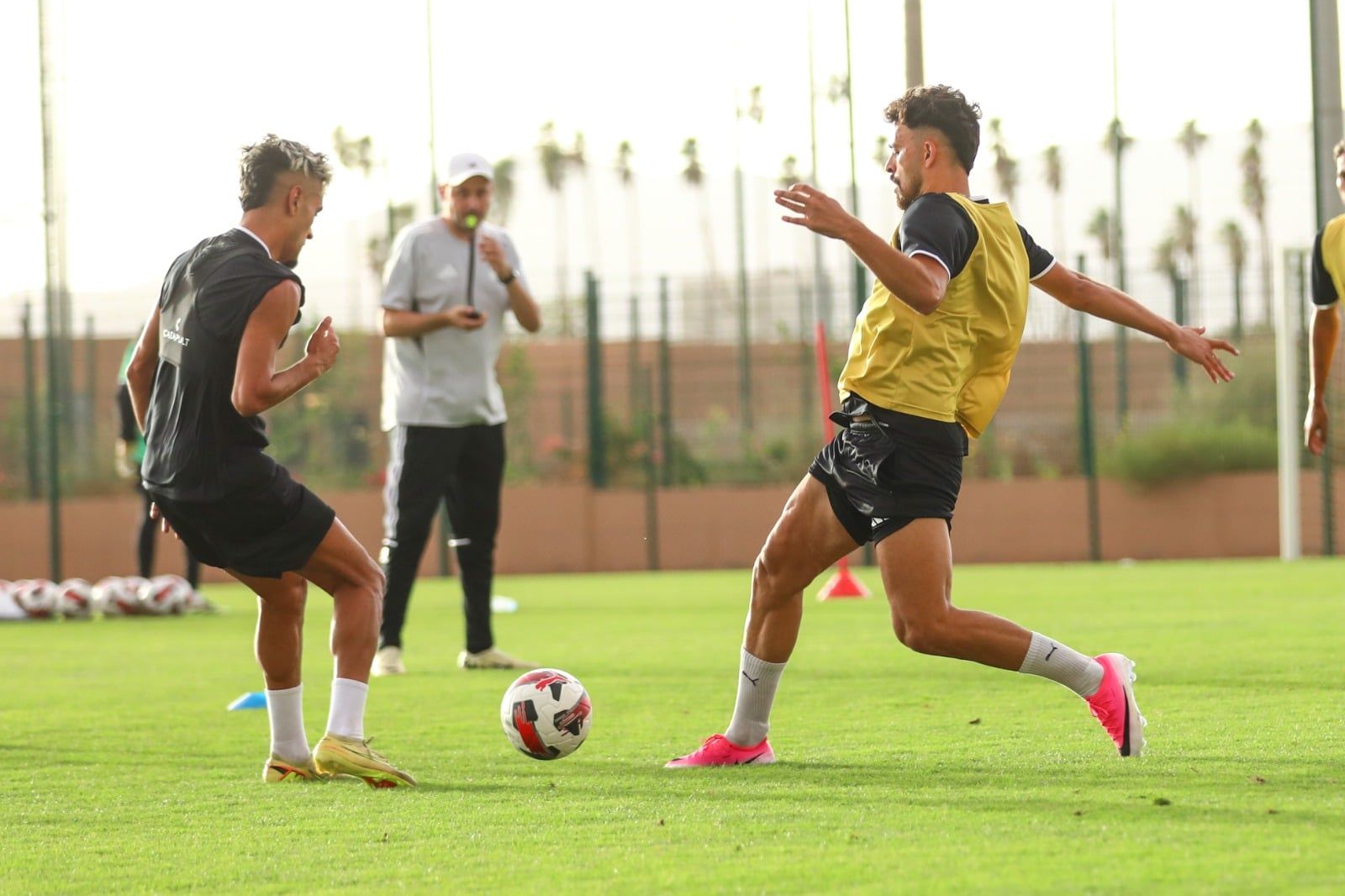 صلاح محسن