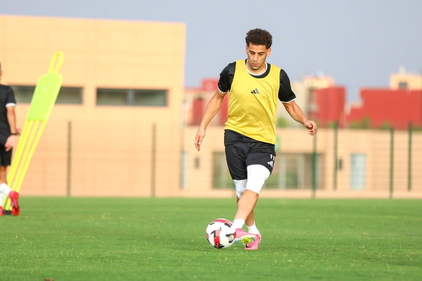 محمد الشامى