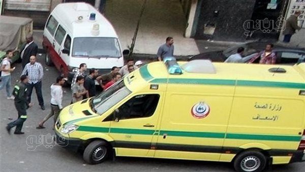 بالأسماء، مصرع طفلة وإصابة 6 أشخاص في تصادم سيارة بعمود إنارة بالبحيرة