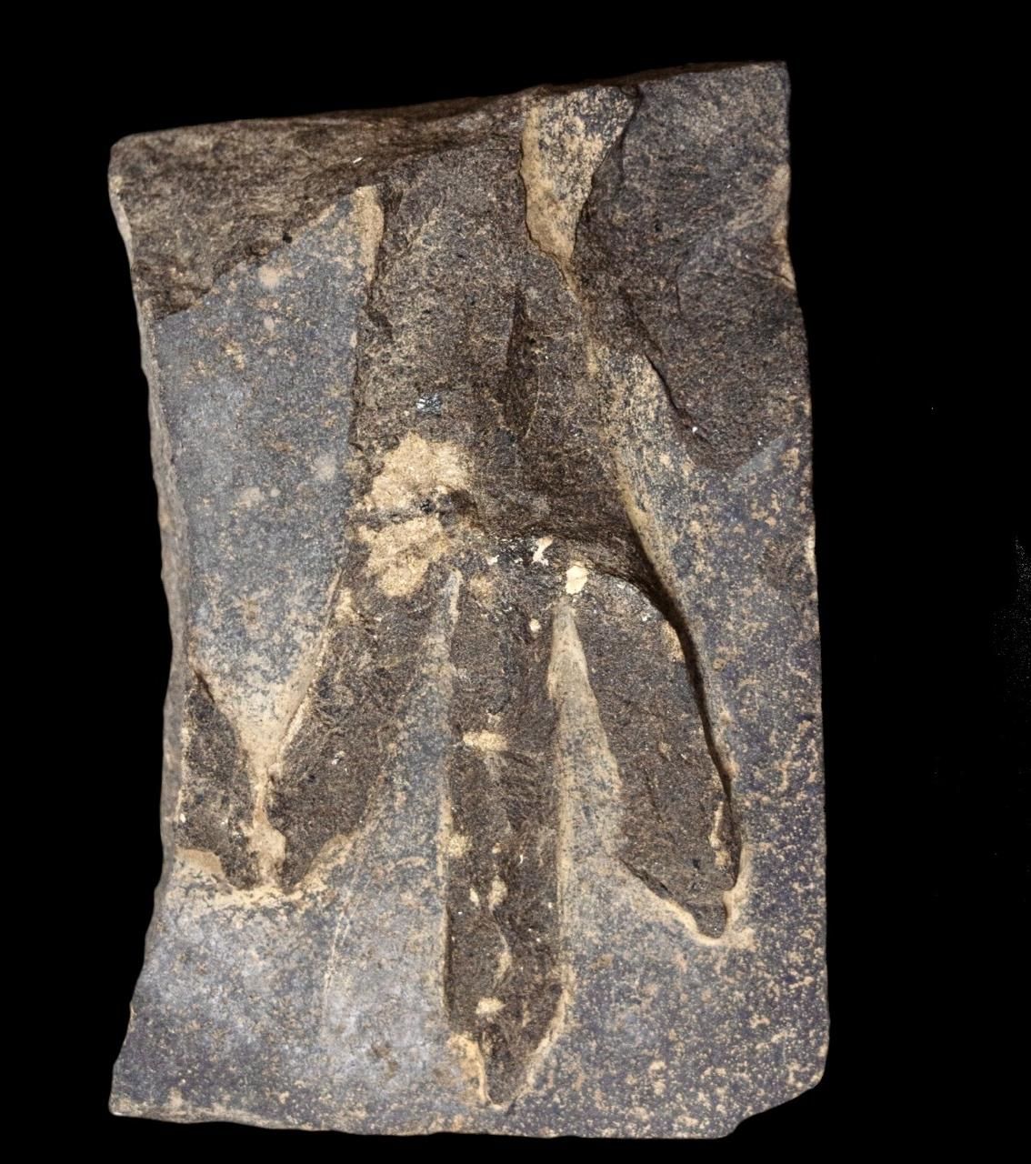 9e76c92cd1.jpg