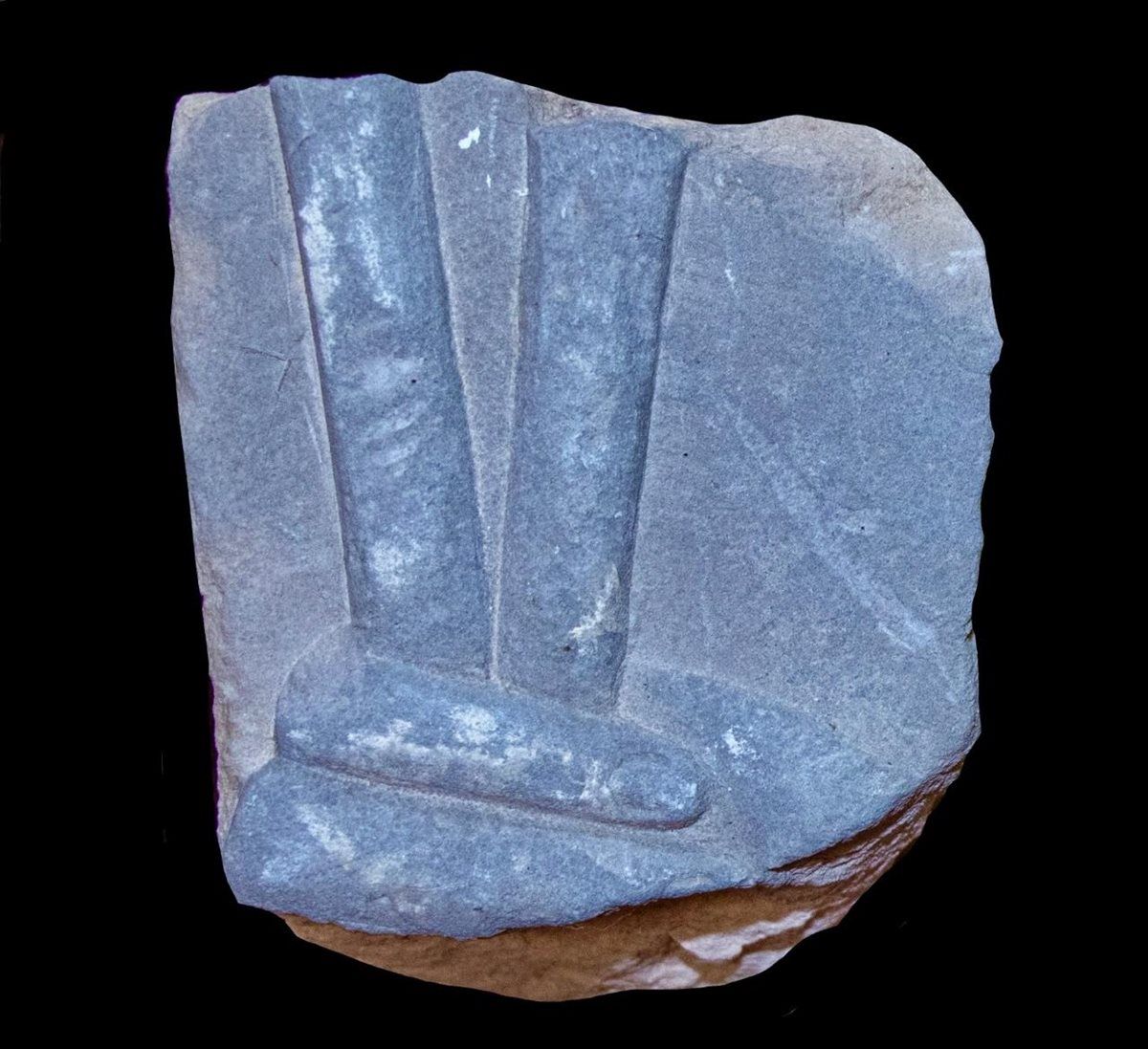 c7f0711c80.jpg