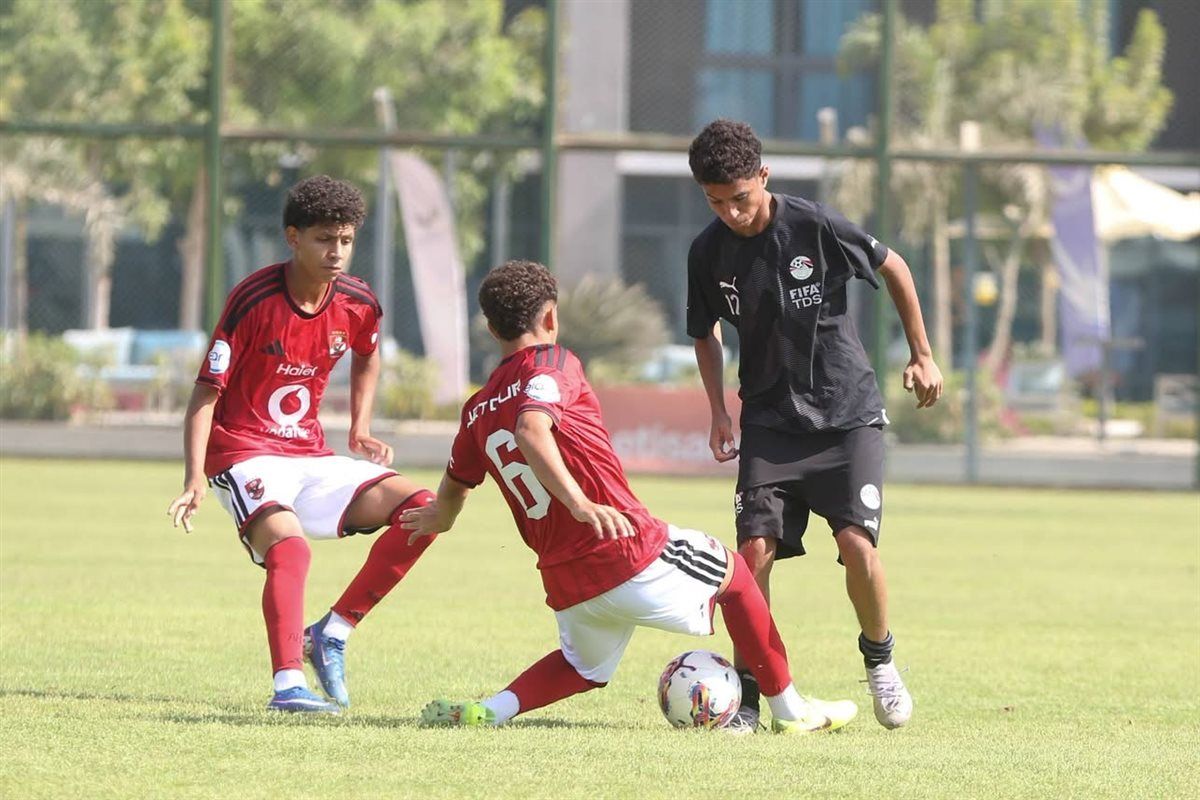 cfa8551334.jpg