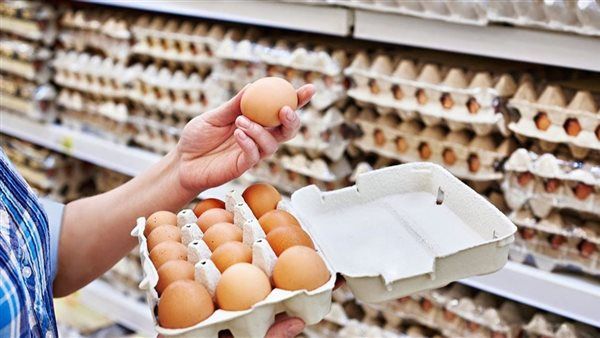 سعر كرتونة البيض اليوم السبت في بورصة الدواجن
