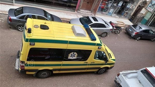 سقطت عليه مقطورة، مصرع طفل في كفر سنجاب بالدقهلية