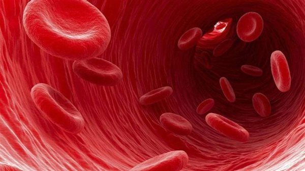هيئة الدواء توجه 3 نصائح لمستخدمي أدوية سيولة الدم للحماية من خطر النزيف