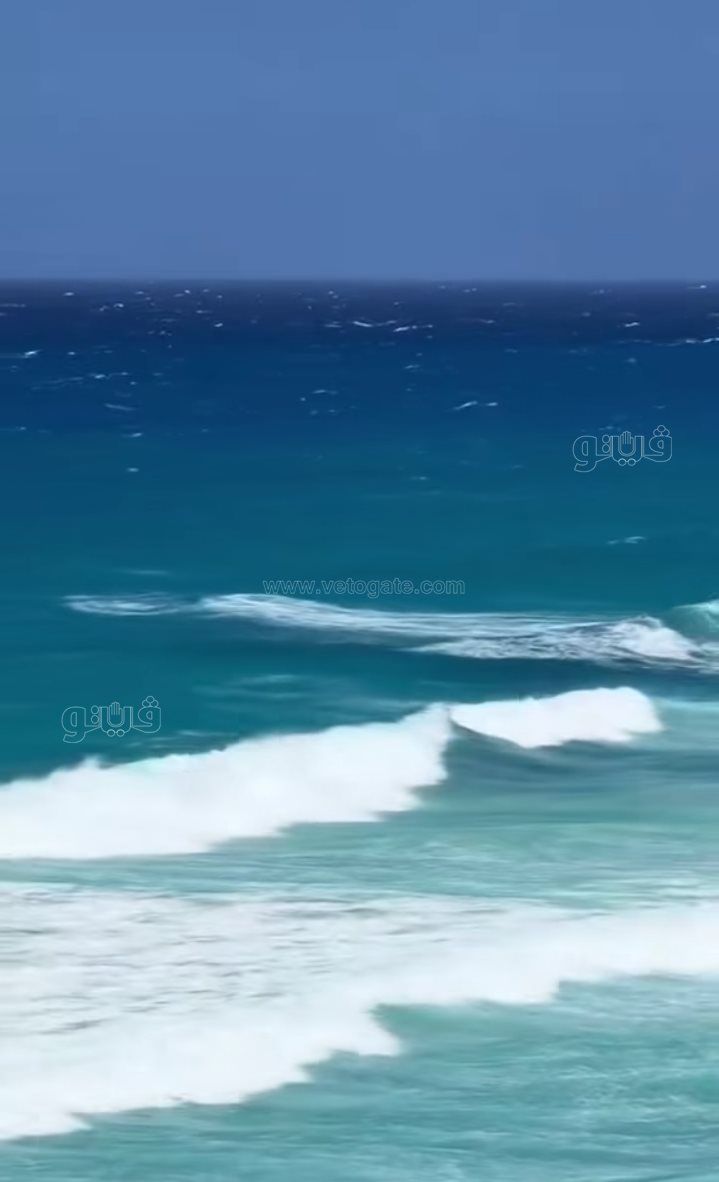 e4f6f7f632.jpg