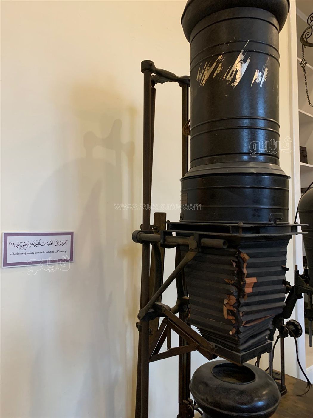 c78326ea5f.jpg