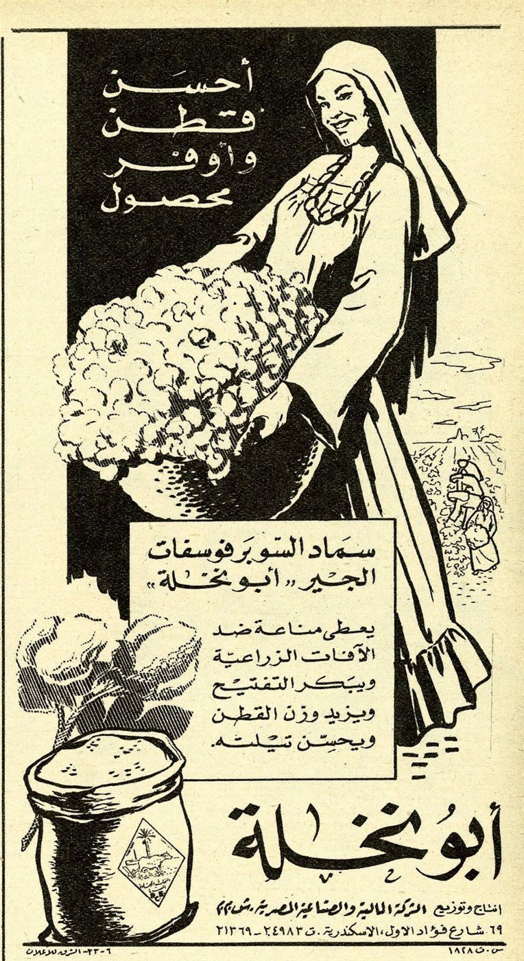 558744e200.jpg