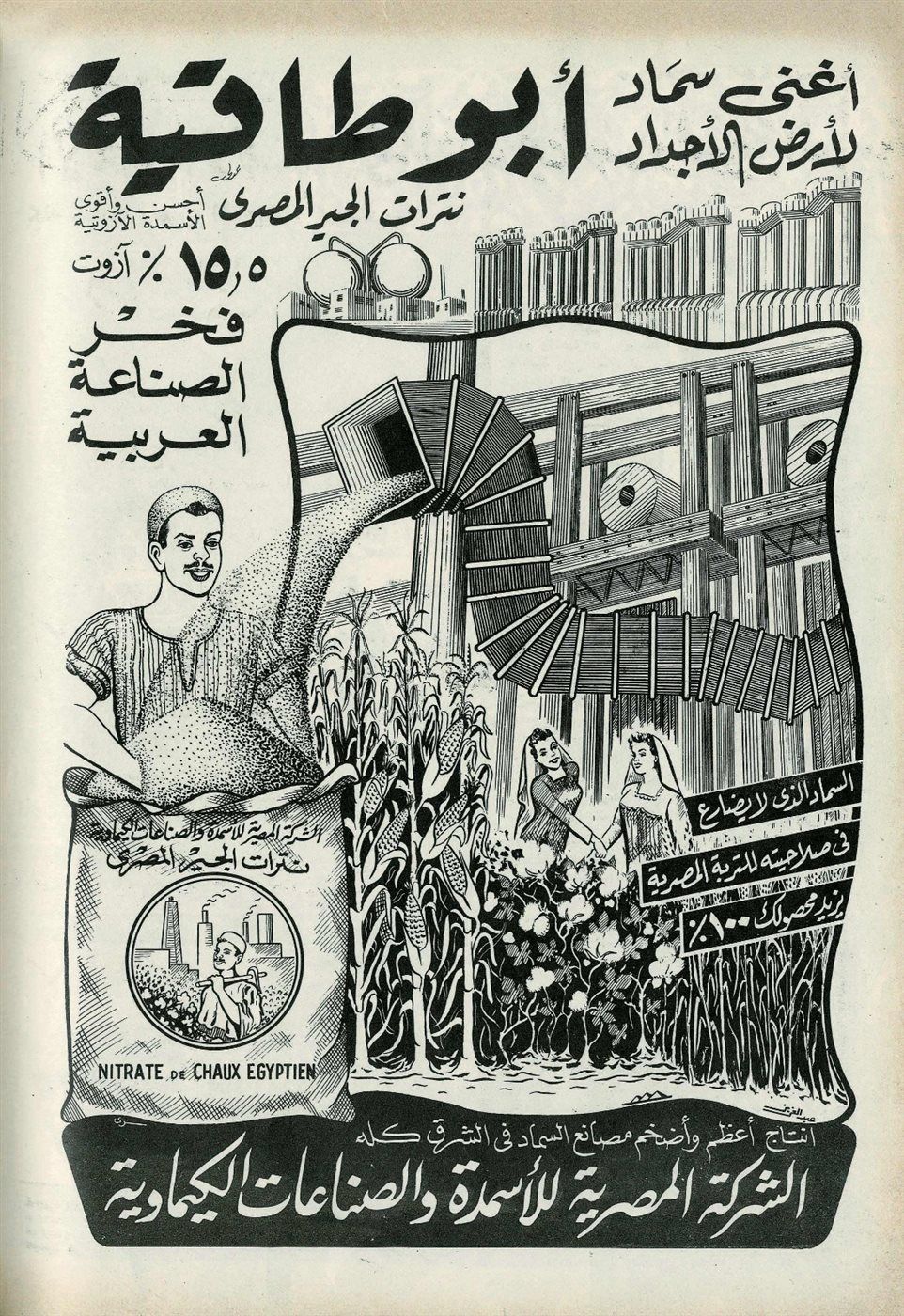 eb1e473470.jpg