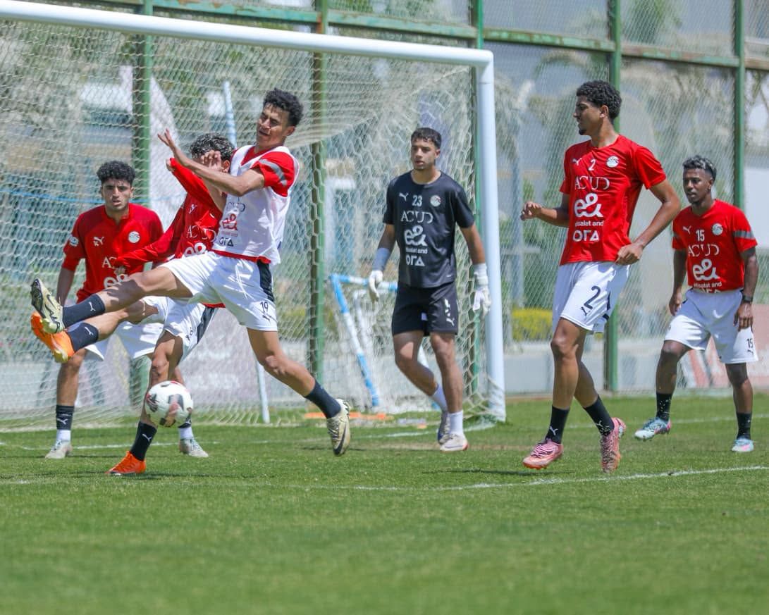d29fb24b17.jpg