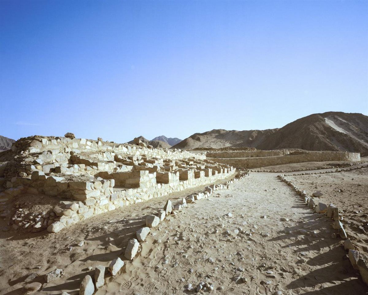 b9e4b2d881.jpg