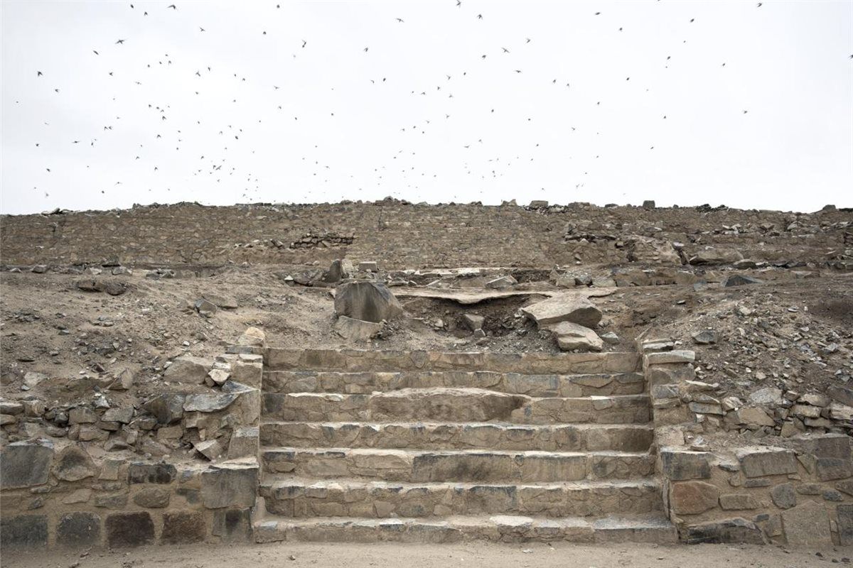 d5fe91b812.jpg