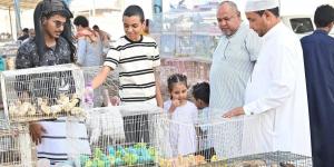 أسواق الطيور في جازان.. تجربة سياحية غنية لعشاق الحيوانات الأليفة