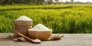 سعر كيلو الأرز اليوم الثلاثاء في الأسواق