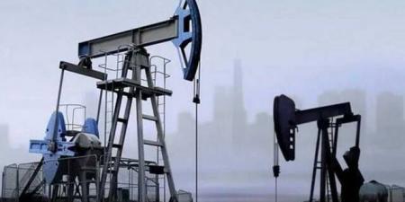 تباين
      أسعار
      النفط
      في
      إغلاق
      تعاملات
      الاثنين