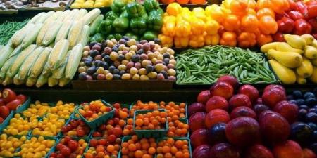 "أوكسفورد
      إيكونوميكس":
      أسعار
      الغذاء
      العالمية
      قد
      تصل
      أدنى
      مستوياتها
      بـ2024