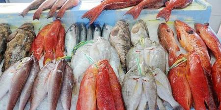 أسعار السمك اليوم، ارتفاع المكرونة 30 جنيها وانخفاض غير مسبوق في قشر البياض