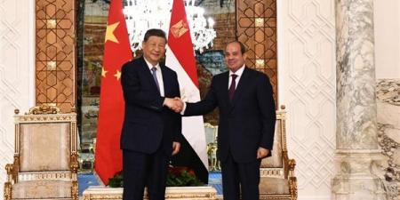 رئيس الصين يشيد بالمتحف الكبير: صرح ثقافي عالمي يليق بعظمة الحضارة المصرية