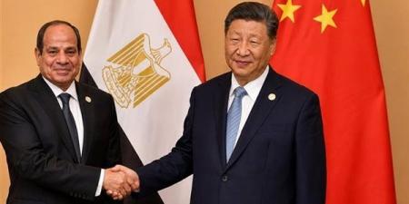 الغرف السياحية: زيارة الرئيس الصيني للمتحف الكبير رسالة ترويجية عالمية للمقصد المصري