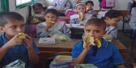سؤال برلماني عن مصير صرف 6 مليارات جنيه سنويا على الوجبات المدرسية