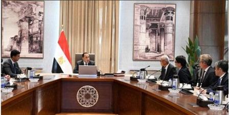 مدبولي: قطاعا السيارات والطاقة النظيفة والمتجددة ضمن أولويات الحكومة
