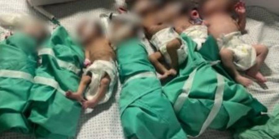 ننشر أسماء 30 طفلا فلسطينيا حديث الولادة قادمين لتلقى العلاج فى مصر