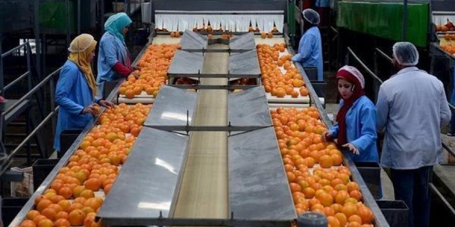 فتح
      باب
      تصدير
      البرتقال
      يوم
      5
      ديسمبر
      بعد
      تأكيد
      الزراعة
      النضج
      الفسيولوجي
      للثمار