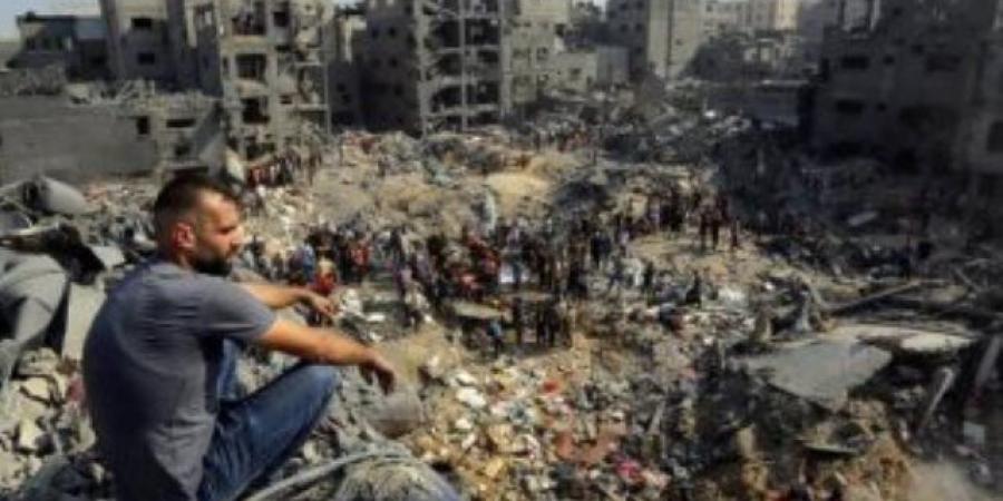 حقوقيون بالأمم المتحدة: إسرائيل دمرت النظام الغذائي بغزة