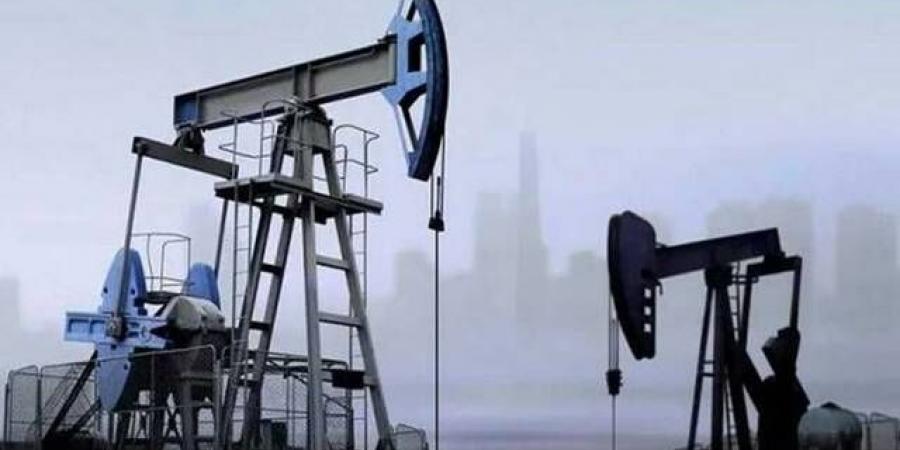 ارتفاع
      النفط
      في
      إغلاق
      الخميس
      لأعلى
      مستوى
      منذ
      نوفمبر