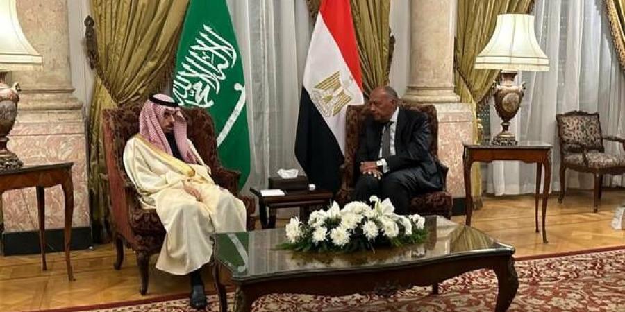 وزير
      الخارجية
      السعودي
      يصل
      إلى
      القاهرة
      ويلتقي
      نظيره
      المصري