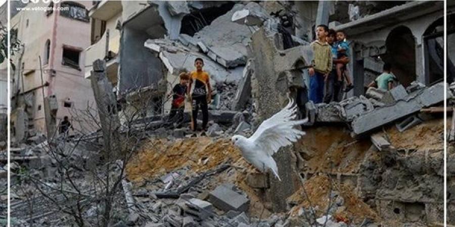 أكثر
      من
      34
      ألف
      شهيد،
      آخر
      إحصاء
      لضحايا
      العدوان
      الإسرائيلي
      على
      غزة