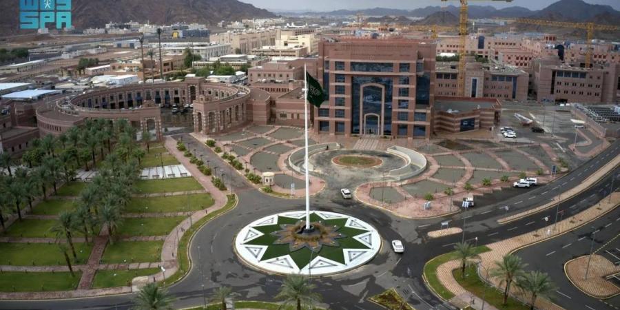 جامعة طيبة تعلن إطلاق 8 تخصصات جديدة